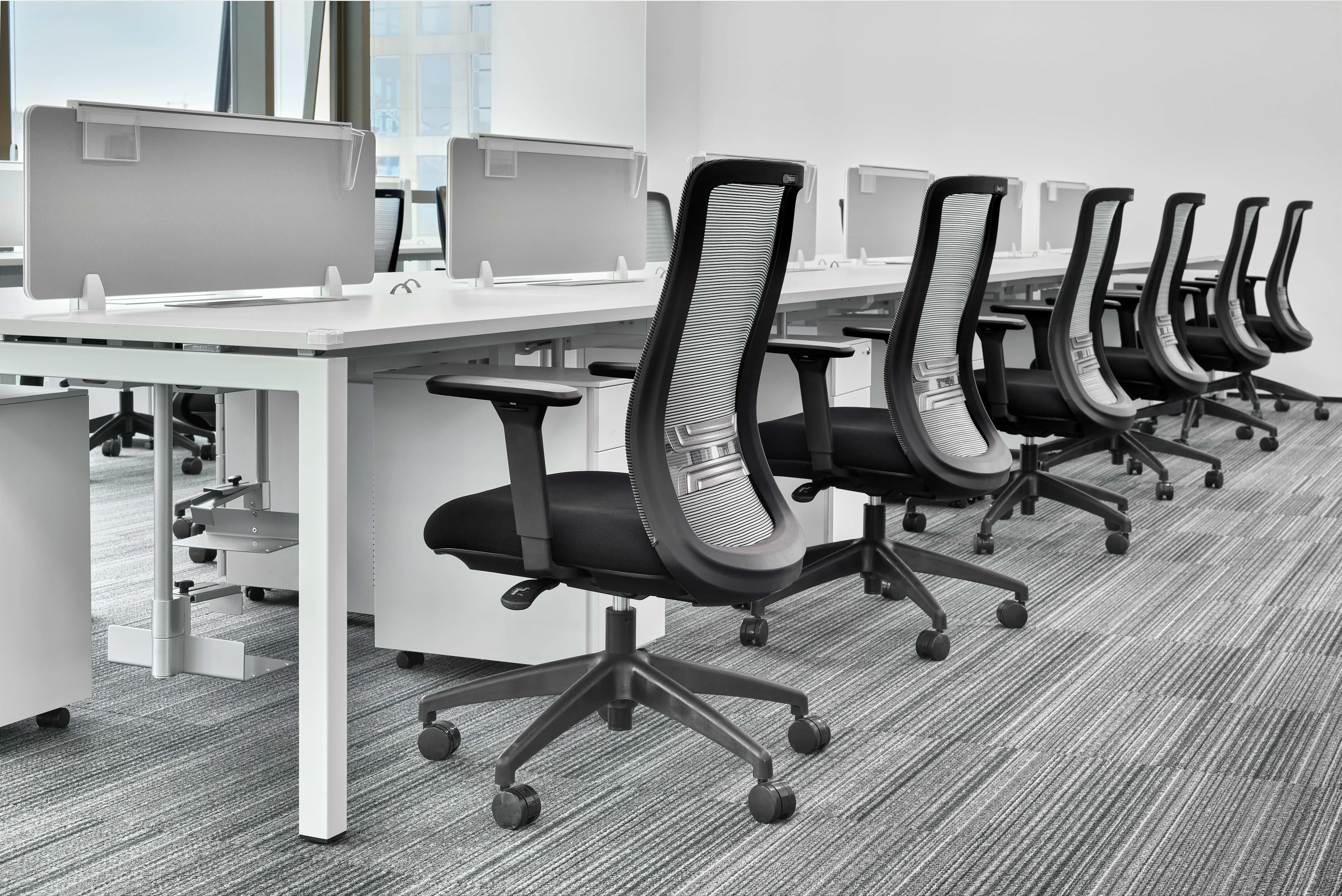 Bright Professional Workplace - 3
