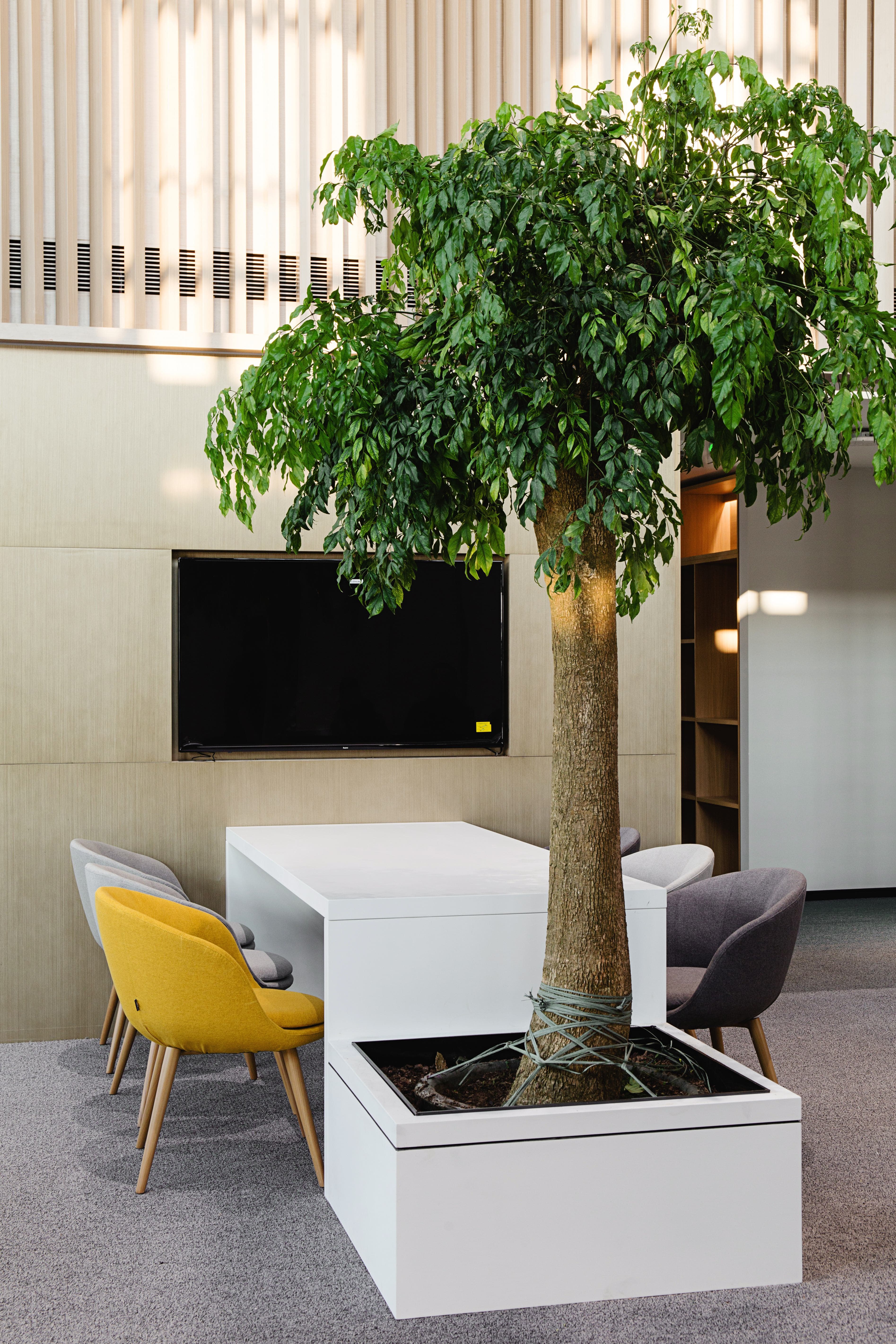 Modern Investment Office - 6
