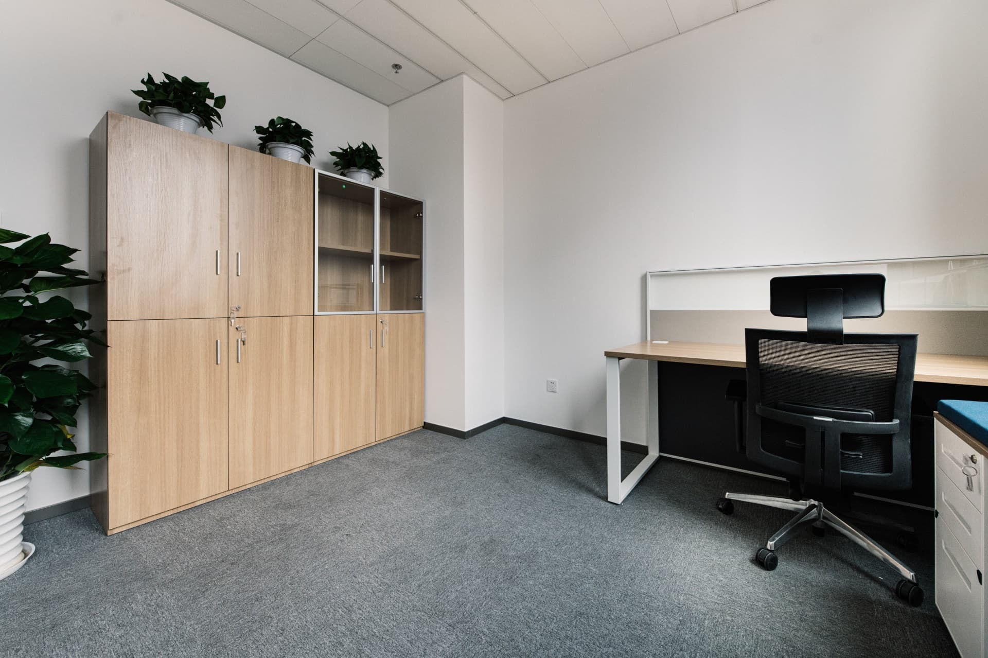 Flexible Seminar Environment - 1